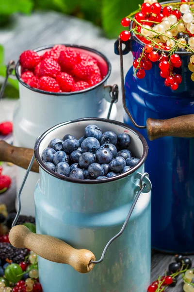 Raccolta di frutti di bosco freschi — Foto Stock