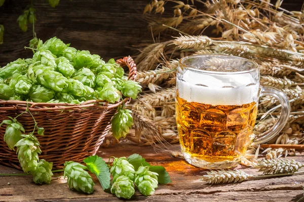 Homemade beer made of fresh hops — Stock Photo, Image