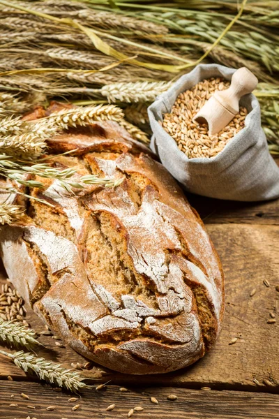 Frissen sült kenyeret — Stock Fotó