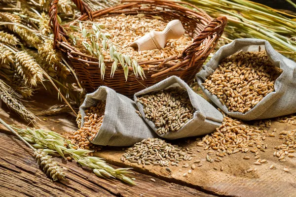 Diferentes tipos de granos de cereales con espigas —  Fotos de Stock