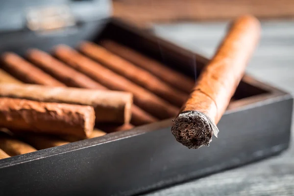 Närbild på brinnande cigarr med rök — Stockfoto