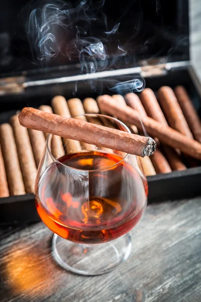 Taste and aroma of cognac and cigar — Stock Photo, Image