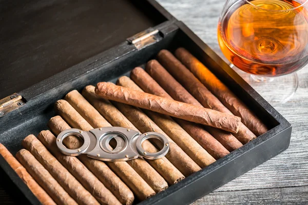 Wooden humidor full of cigars — Stock Photo, Image