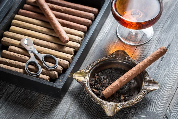 Cigar in ashtray and cognac — Stock Photo, Image