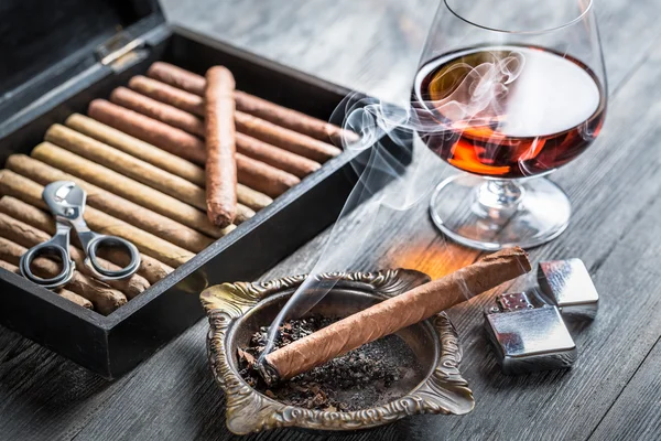Smell of brandy and smoking a cigar — Stock Photo, Image