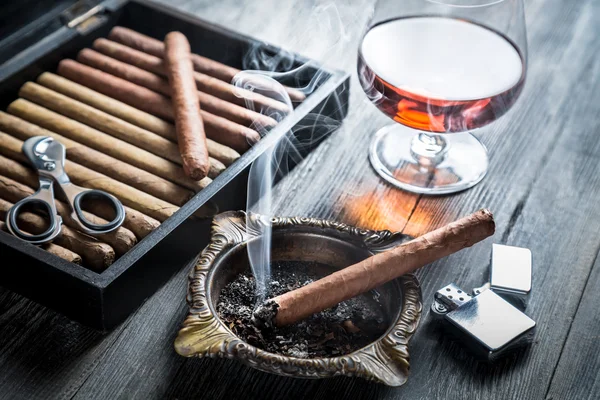 Taste of cognac and cigar fuming — Stock Photo, Image