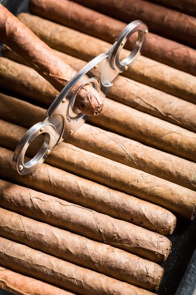 Guillotine and cigar on cigars pile — Stock Photo, Image