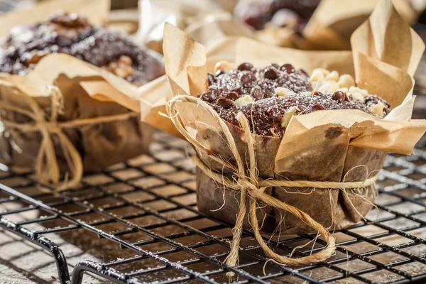 Muffins with icing sugar and chocolate — Stock Photo, Image