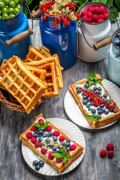 Våfflor med färska samlade bär frukt — Stockfoto