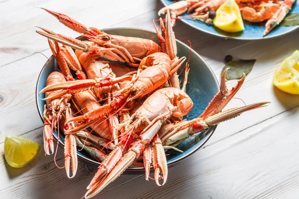 Des langoustines fraîchement cuites dans un bol bleu — Photo