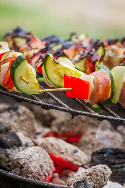 Closeup of hot skewers on the grill — Stock Photo, Image