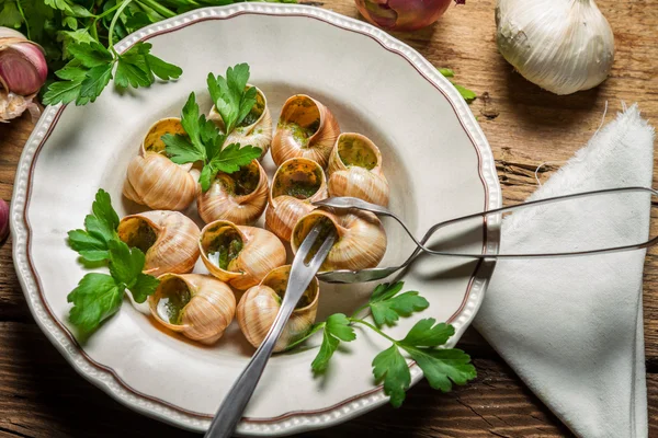 Eating the fried snails in garlic butter — Stock Photo, Image