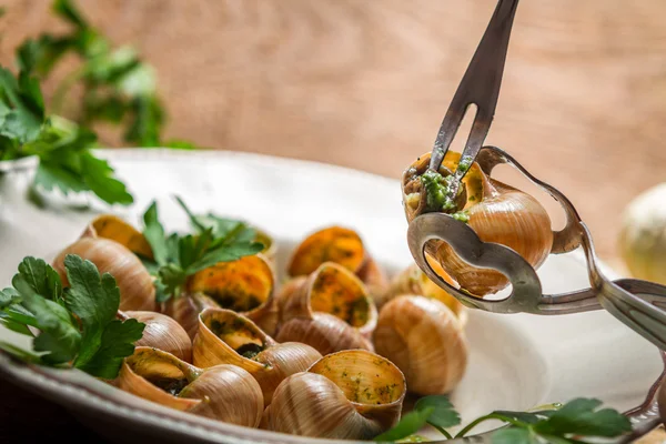 Mangiare lumache fritte con burro all'aglio — Foto Stock