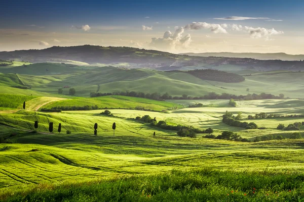 Bela vista do pôr do sol sobre o vale verde — Fotografia de Stock