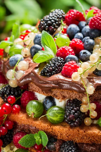 Gros plan de fruits frais des baies sauvages dans un gâteau — Photo