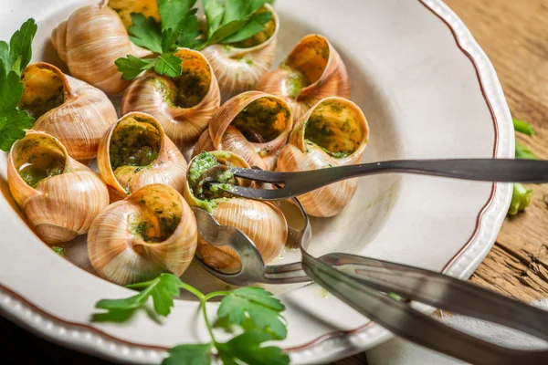 Closeup of eating the fried snails with garlic butter — Stock Photo, Image