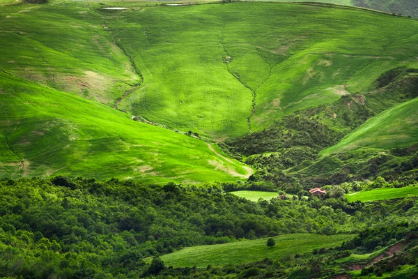 Zielonej dolinie między wzgórzami in Toskania — Zdjęcie stockowe