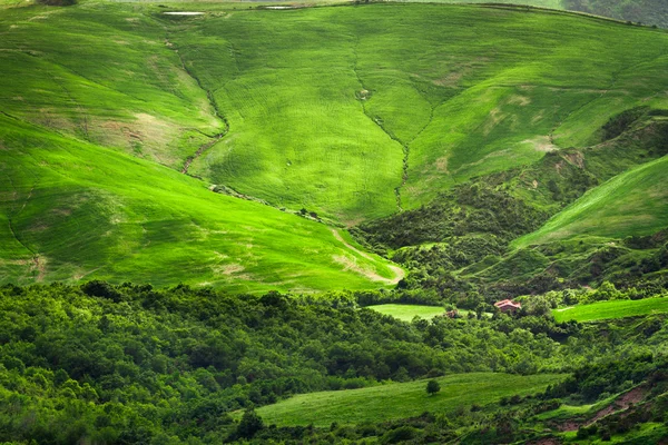 Valle verde entre las colinas en Toscana — Foto de Stock