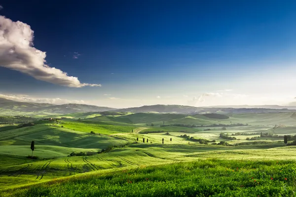 Bela vista do vale verde ao pôr do sol, Toscana — Fotografia de Stock