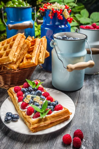 Våfflor med vispgrädde och frukt — Stockfoto