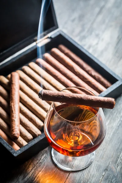 Burning cigar on humidor and cognac in glass — Stock Photo, Image