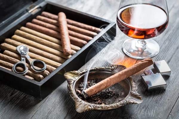 Smell of brandy and smoking a cigar — Stock Photo, Image