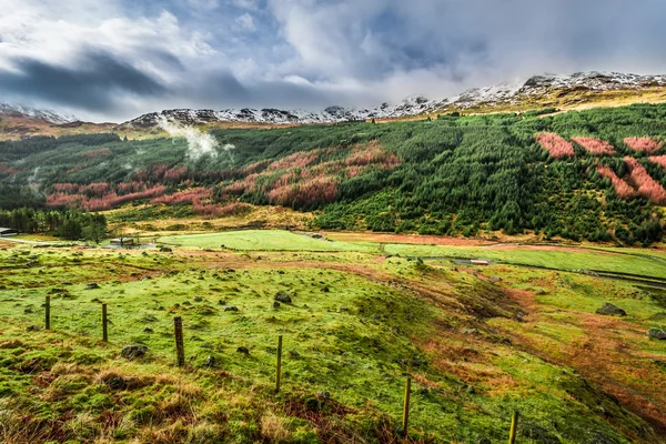 Argyll Forest Park in inverno, Scozia — Foto Stock