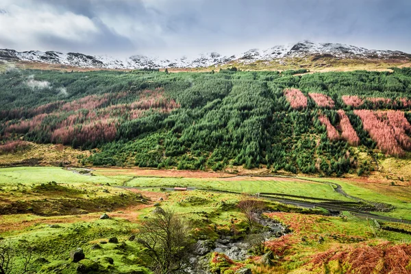 Vallée d'automne dans les montagnes, Écosse — Photo