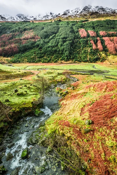 Rivière de montagne coulant dans la vallée — Photo