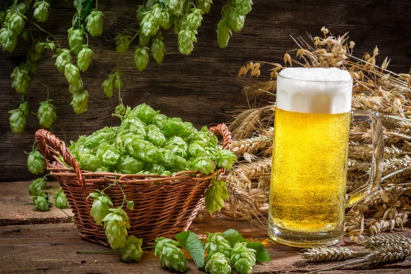 Basket full of hops and a cold beer — Stock Photo, Image