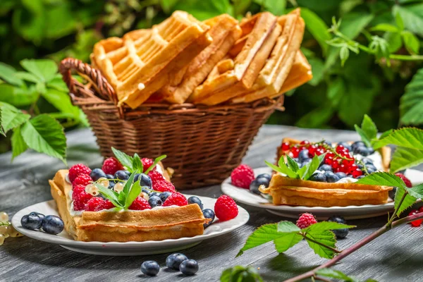 Närbild av färska bär frukt på våfflor — Stockfoto