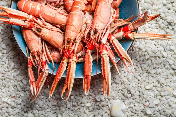 Fresh scampi served on the beach — Stock Photo, Image