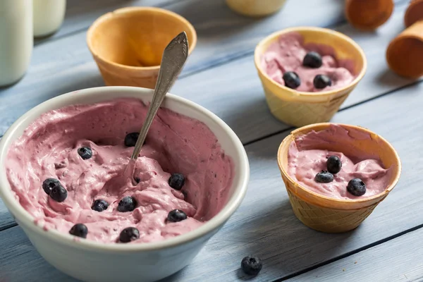 Gelato alla frutta fatto in casa in un wafer — Foto Stock