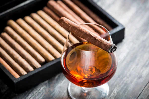 Brinnande cigarr på glas med cognac — Stockfoto