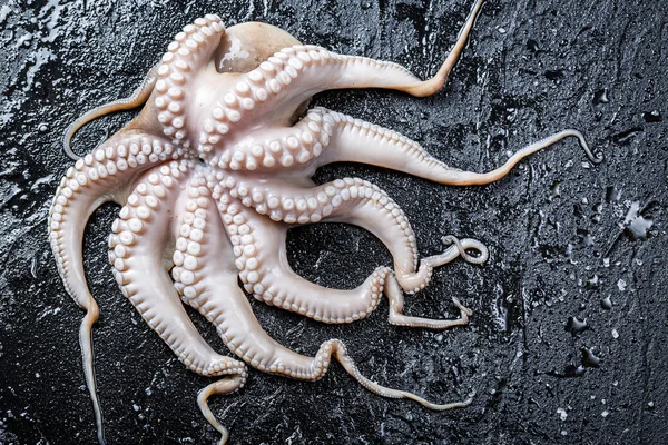 Čerstvě ulovené chobotnice na černé skále — Stock fotografie