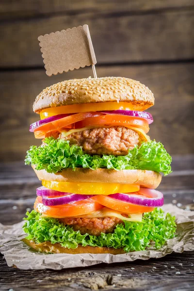 Desfrute do seu saboroso hambúrguer de dois andares — Fotografia de Stock