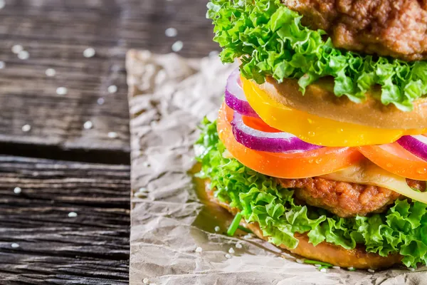 Homemade double-decker burger with vegetables — Stock Photo, Image