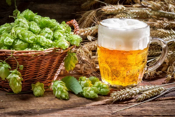 Small beer with a large foam surrounded by hops — Stock Photo, Image