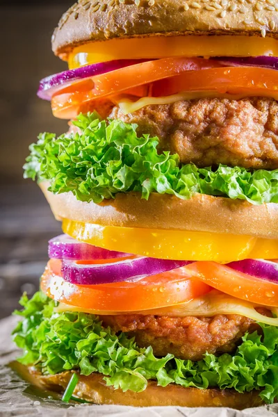Closeup dvoupatrové domácí hamburger — Stock fotografie