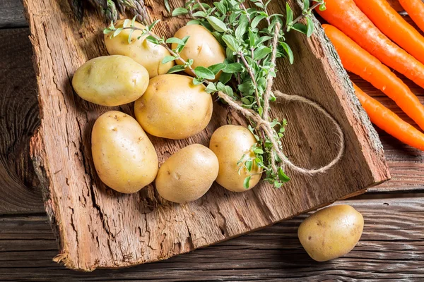 Gros plan de divers légumes frais sur écorce — Photo