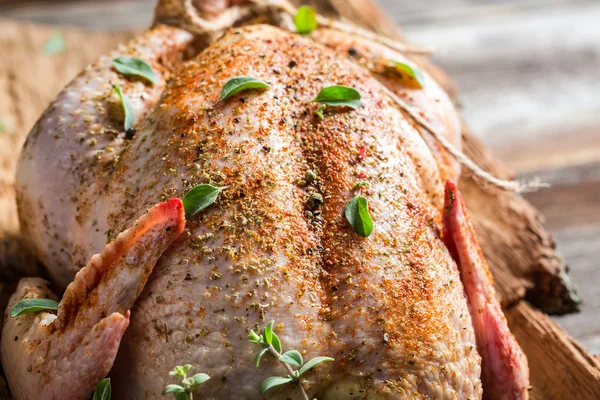 Closeup of raw chicken with herbs — Stock Photo, Image