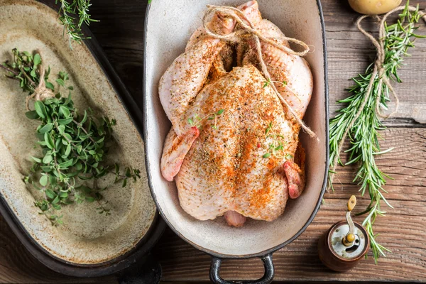 Gekruide kip met kruiden in braadpan schotel — Stockfoto