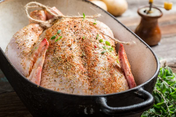 Primer plano de hebras de alambre de pollo crudo especiado —  Fotos de Stock