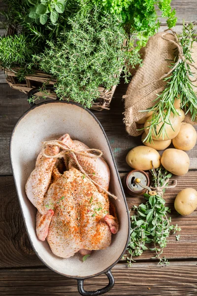 Pollo para cocinar con especias y verduras — Foto de Stock