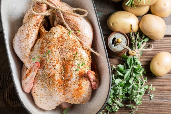 Primer plano de pollo condimentado con hierbas en cazuela —  Fotos de Stock