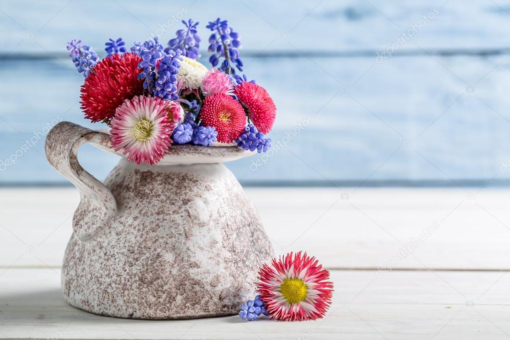 青と赤のデイジーの花の花瓶 ストック写真 C Shaiith79 青と赤のデイジーの花の花瓶 ストック写真 C Shaiith79