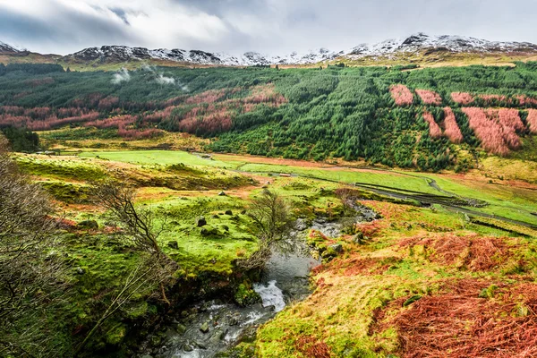 Herfst vallei in de bergen, Schotland — Stockfoto