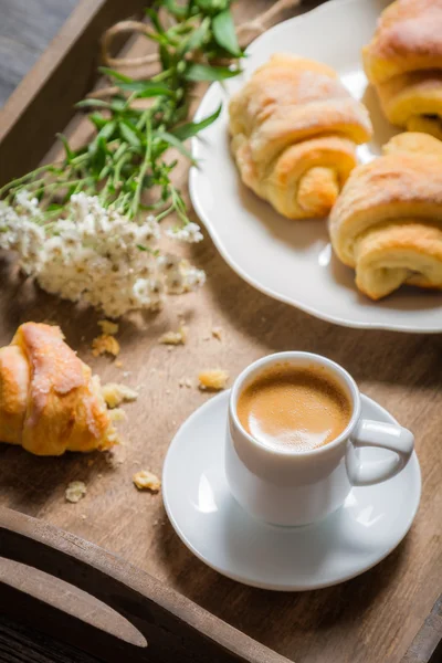 Frühstück bis zum Bett mit heißem Kaffee und Blumen — Stockfoto