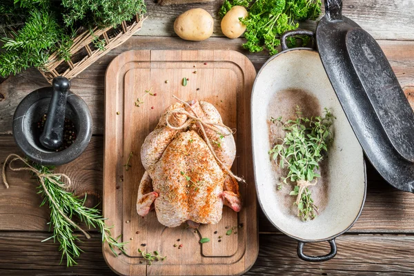 Pollo condimentado antes de asar —  Fotos de Stock