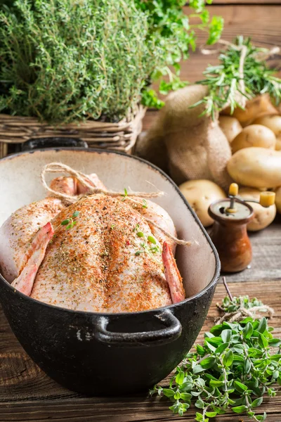 Pollo con especias y verduras en cazuela —  Fotos de Stock